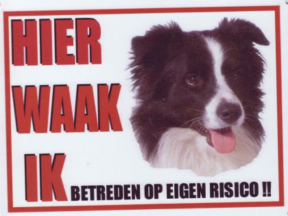 Waakbord Border Collie-0