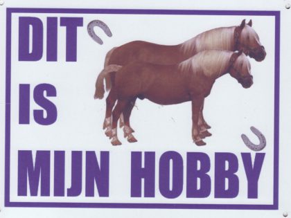 Dit is mijn hobby bord met paarden Haflingers-0