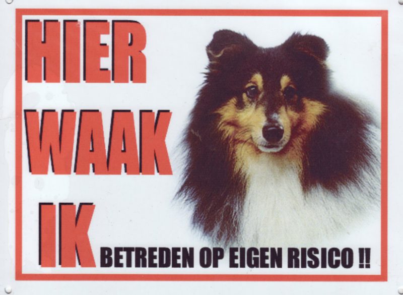 sheltie donker waakbord