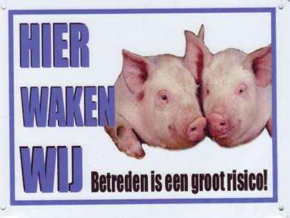 waakbord varkens