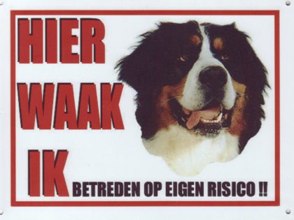 Waakbord Berner Sennen-0