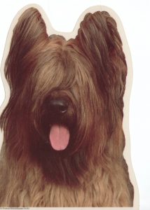 Briard bruin