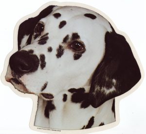 Dalmatier