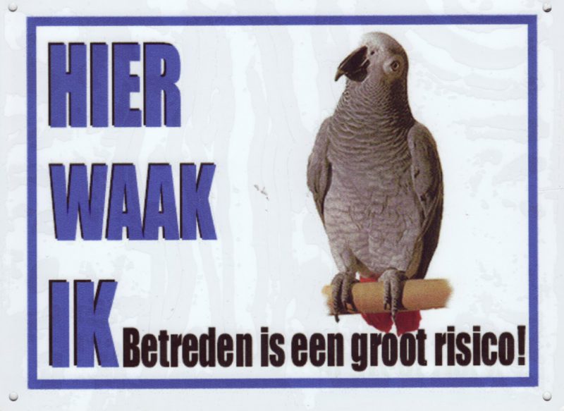 Waakbord Grijze Roodstaart blauwe letters-0