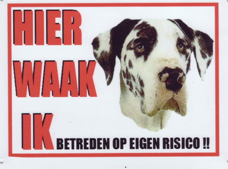 Harlekijnse Dog