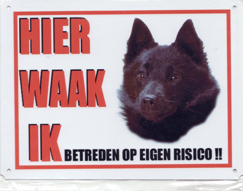 Schipperke