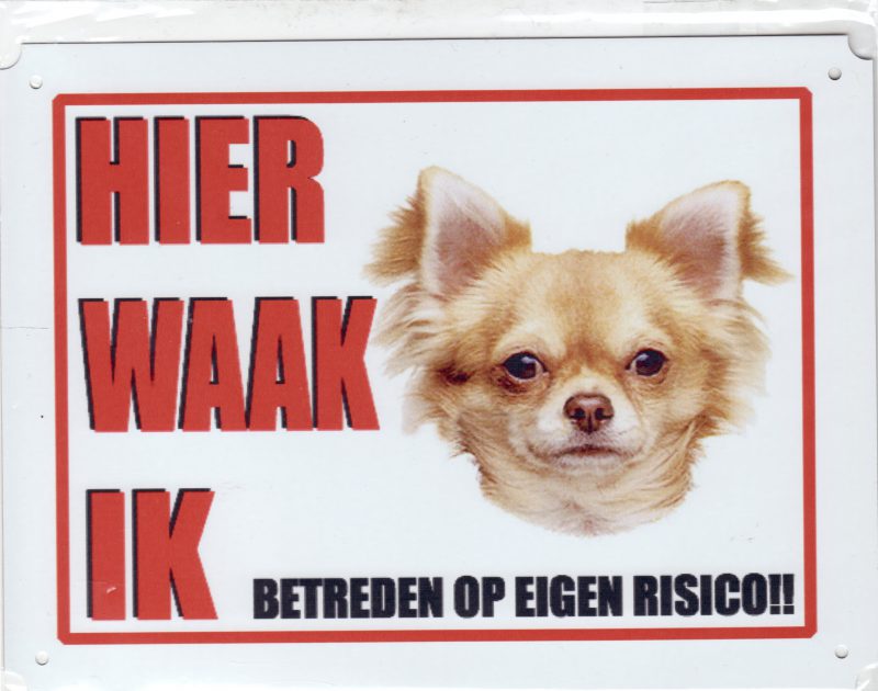 Waakbord Chihuahua 2 blond langhaar-0