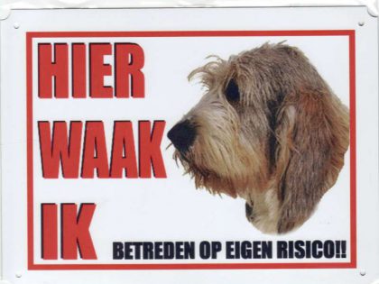 Waakbord Basset Griffon-0