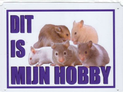 Dit is mijn hobby bord met Hamsters divers-0