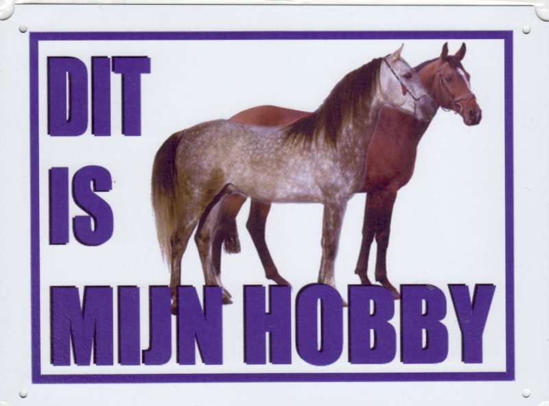Dit is mijn hobby bord met paarden Arabieren-0