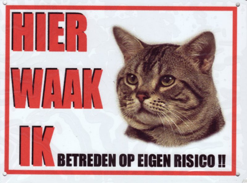 Waakbord Kat tijger-0