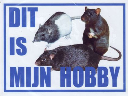 Dit is mijn hobby bord met Ratten-0