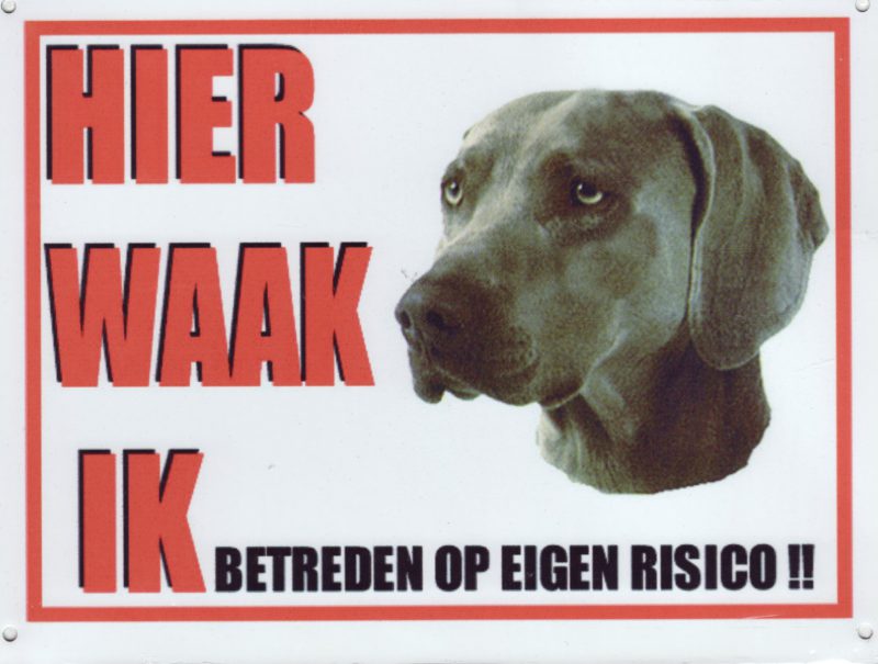 Waakbord Weimaraner-0