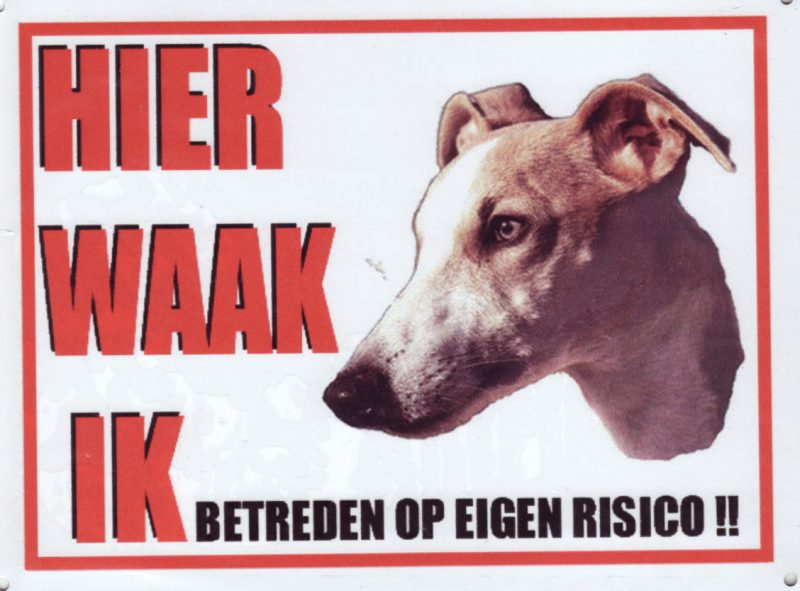 waakbord whippet