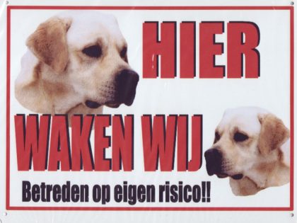 XL waakbord 2 Labradors blond rechts kijkend-0