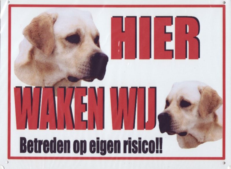 XL waakbord 2 Labradors blond rechts kijkend-0