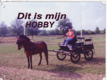 Dit is mijn hobby bord met paarden mennen-0