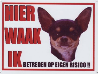 Waakbord Chihuahua 4 donker korthaar-0