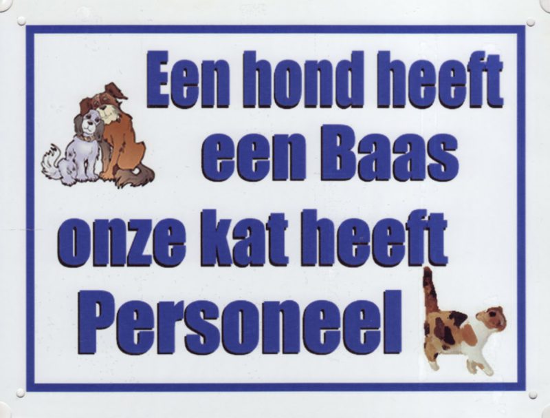 Hond baas - Kat personeel-0