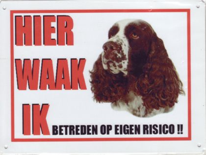 welsh springer waakbord