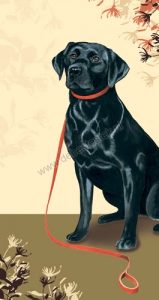 Kaart Zwarte Labrador