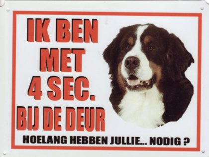 Z. waakbord Berner Sennen 4 sec.-0