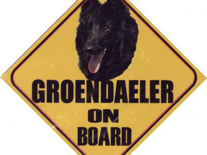 Autobordje Groenendaeler ACTIE ivm spelfout-0