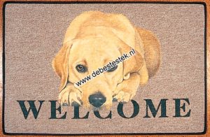 Deurmat Labrador Blond-0