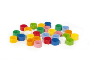 kip click ringen