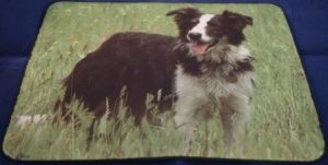 Muismat Border Collie