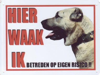 waakbord turkse herder kangal