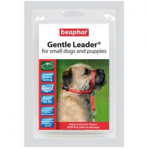 Gentle Leader voor kleine honden-0