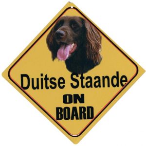 Autobordje Duitse Staande Langhaar-0