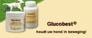 Glucobest 100 tabletten