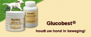 Glucobest 250 gram