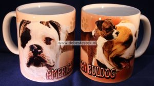 Mok Amerikaanse Bulldog