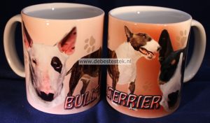 Mok Bullterrier-0