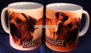 Mok Rhodesian Ridgeback-0