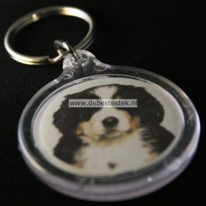 Sleutelhanger Berner Sennen pup