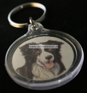 Sleutelhanger Border Collie