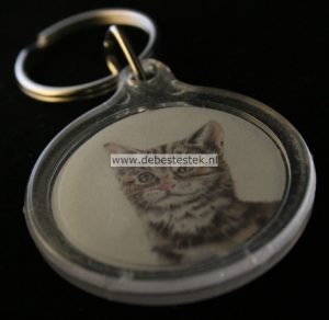 Sleutelhanger Kat / Poes 1