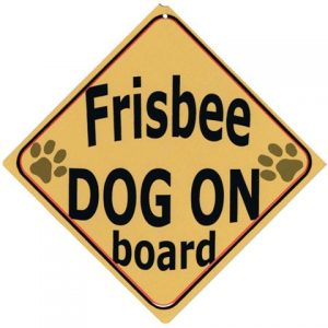 Autobordje 2. Frisbee dog on board-0