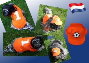 Oranje set voor uw hond (trui én petje)