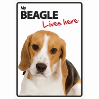 OD Waakbord Beagle lives here-0