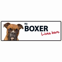 OD Waakbord Boxer langwerpig-0