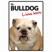 OD Waakbord Bulldog lives here-0