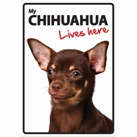 OD Waakbord Chihuahua lives here-0