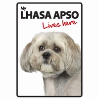 OD Waakbord Lhasa Apso lives here -0