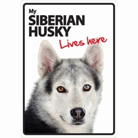 OD Waakbord Siberian Husky lives here -0