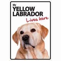 OD Waakbord Yellow Labrador lives here -0